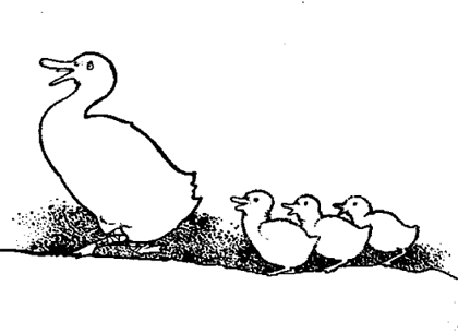 http://www.wbrands.com/uploads/images/illustrations/the_duck_and_her_ducklingsx420.jpg